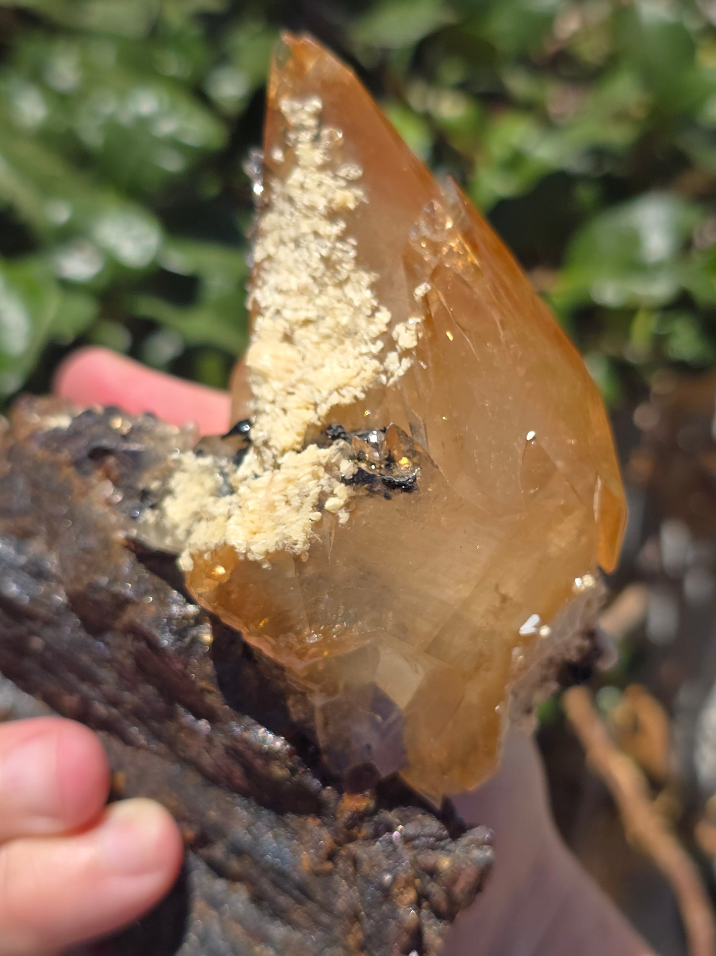 Sphalerite w Calcite from Elmwood Mine Tennessee