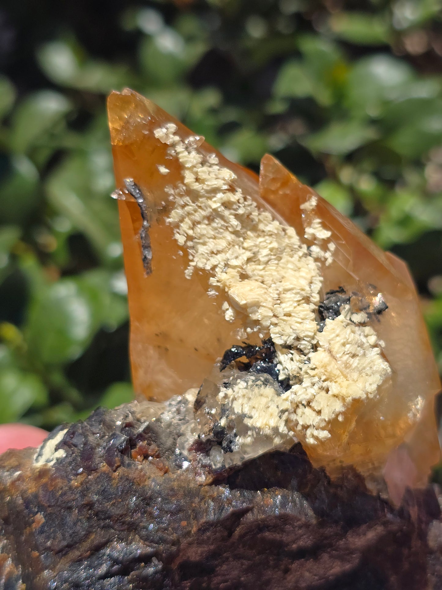 Sphalerite w Calcite from Elmwood Mine Tennessee