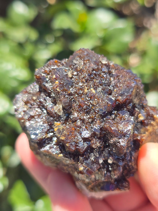 Sphalerite w calcite Elmwood Mine Tennessee