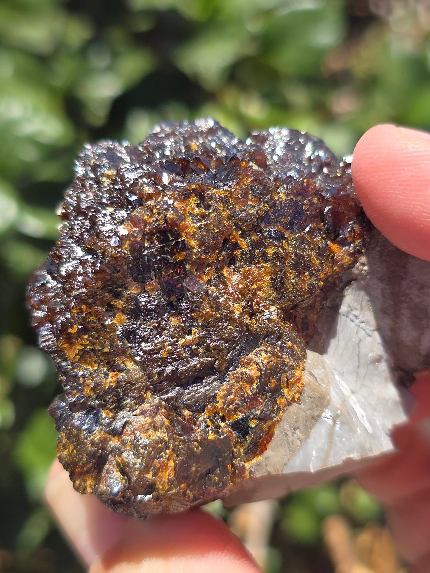 Sphalerite w calcite Elmwood Mine Tennessee