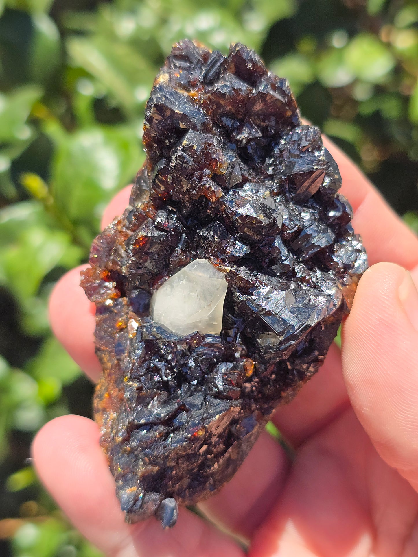 Sphalerite w calcite Elmwood Mine Tennessee