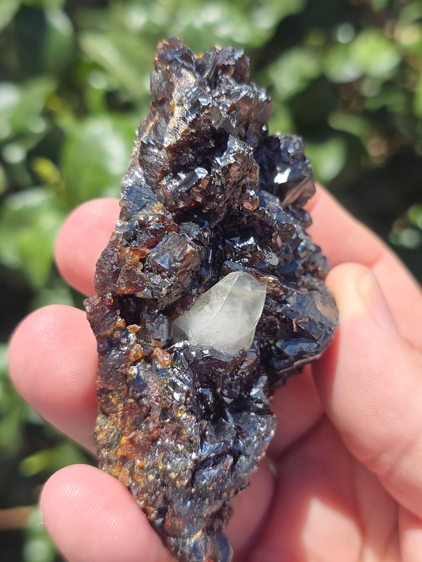 Sphalerite w calcite Elmwood Mine Tennessee