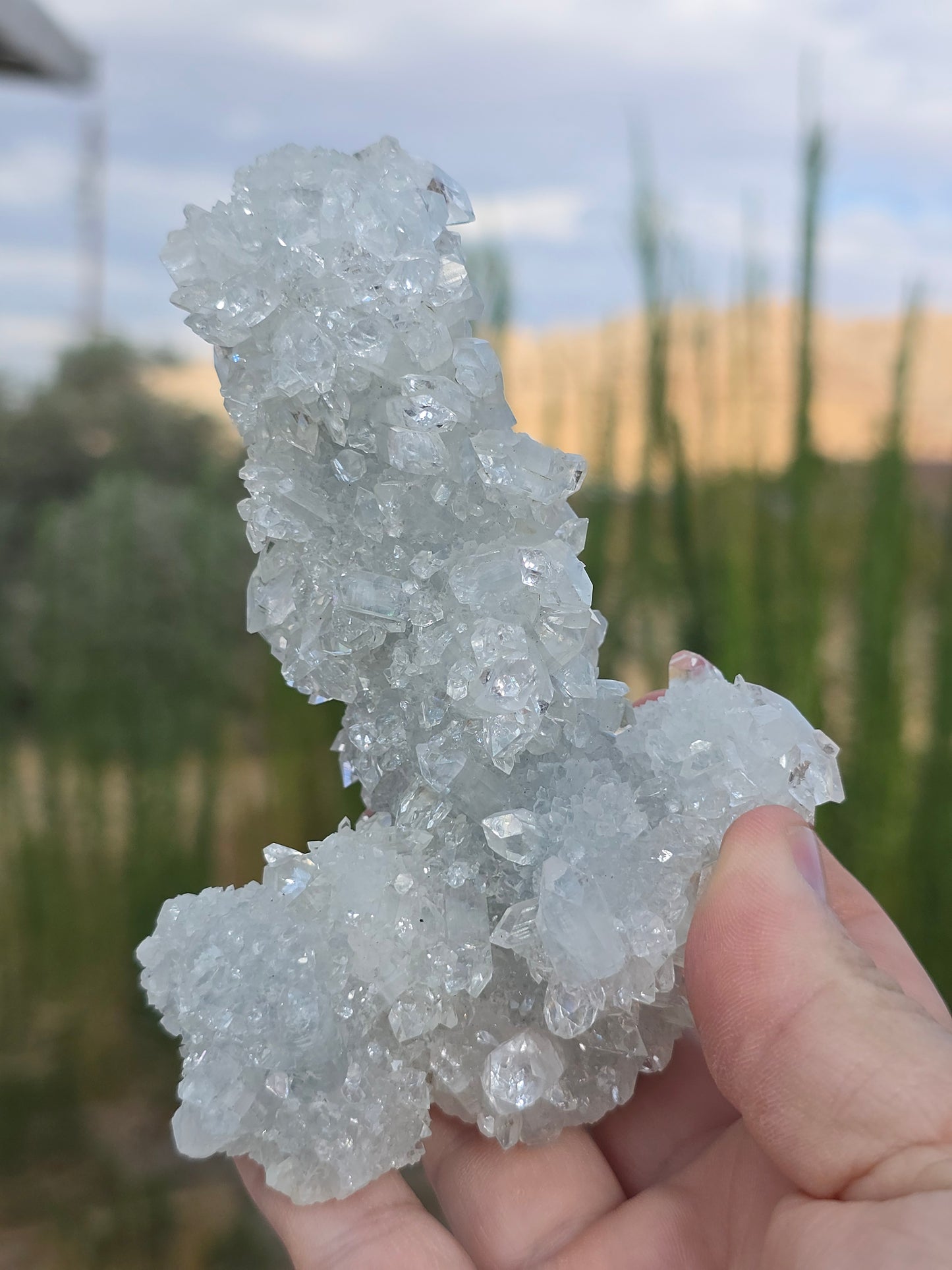 Apophyllite Stalactite India