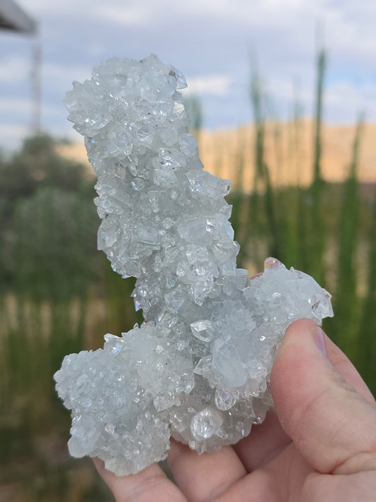 Apophyllite Stalactite India