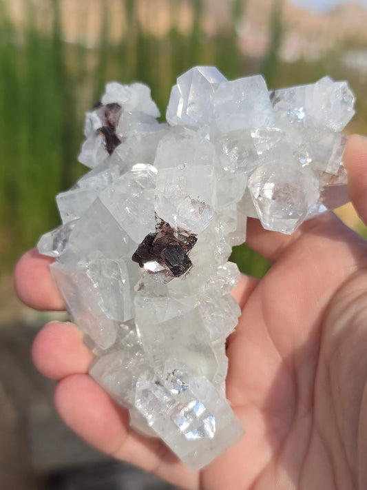 Apophyllite w stilbite and hematite India