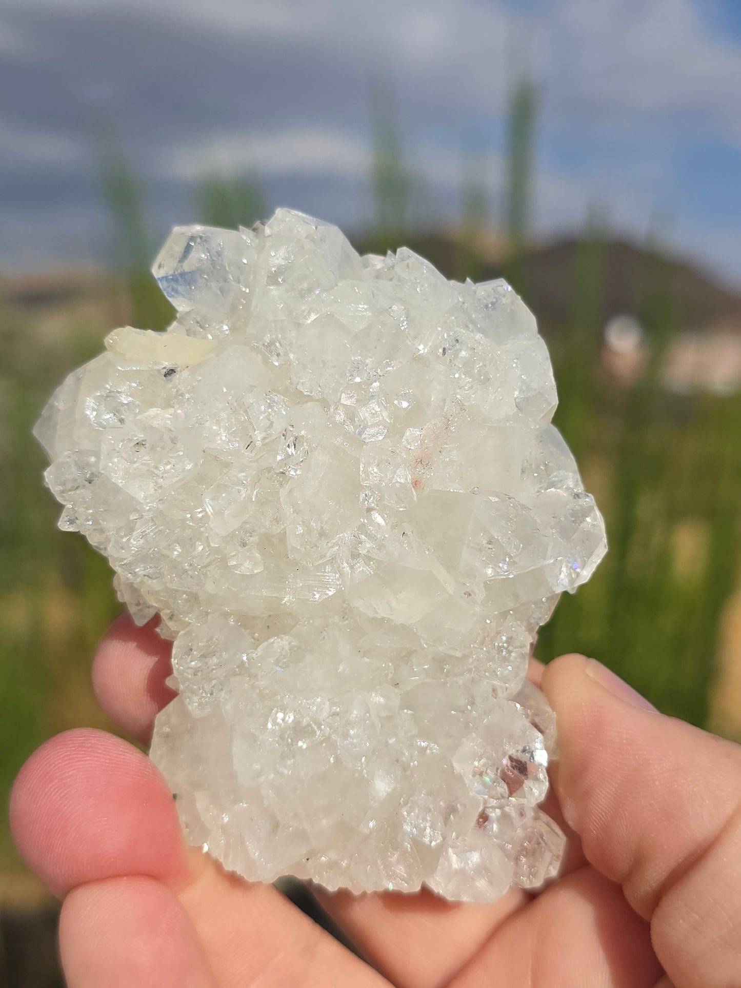Apophyllite Stalactite India