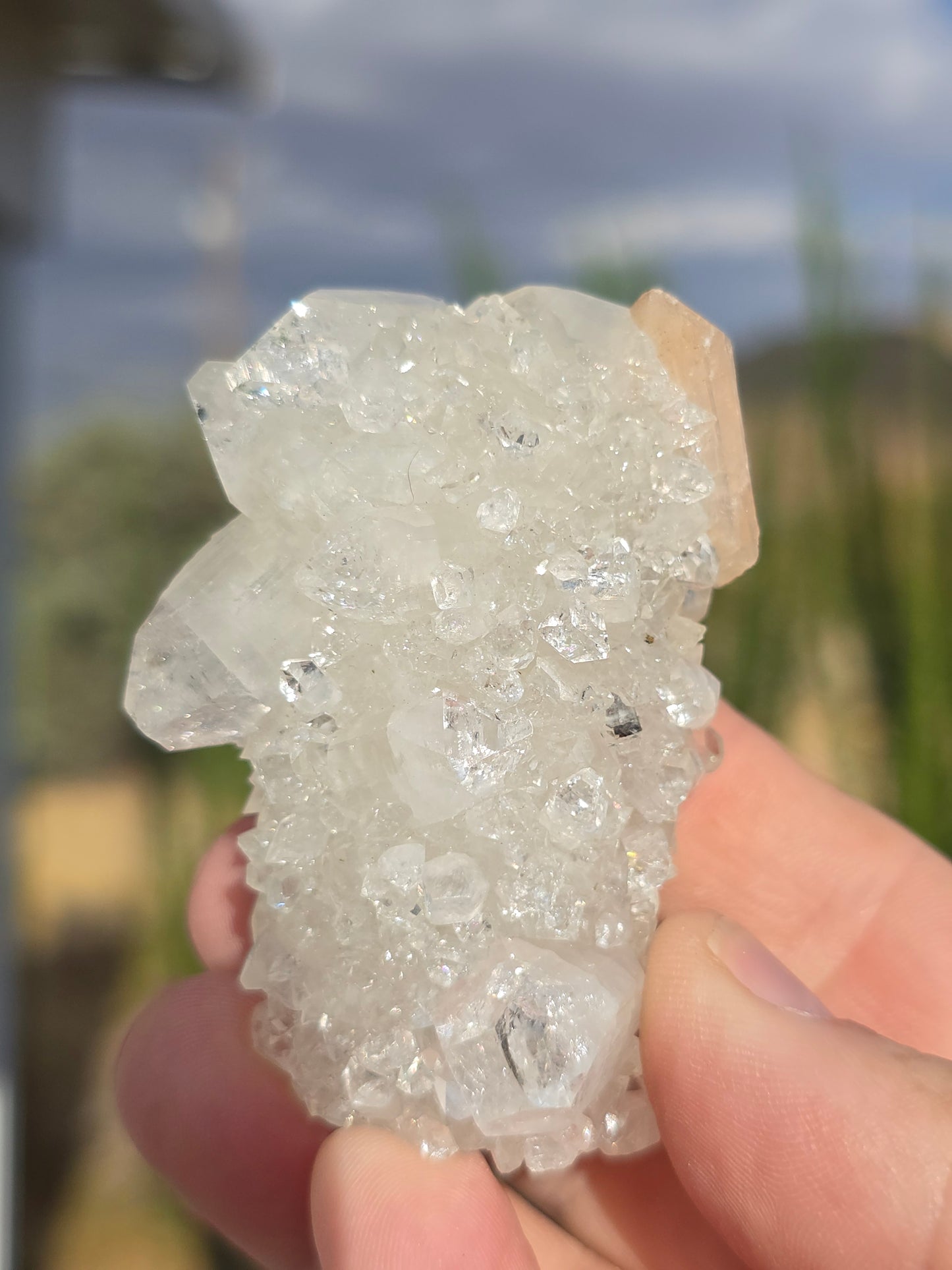 Apophyllite stalactite India