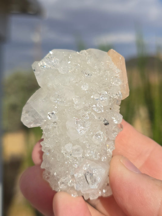 Apophyllite stalactite India