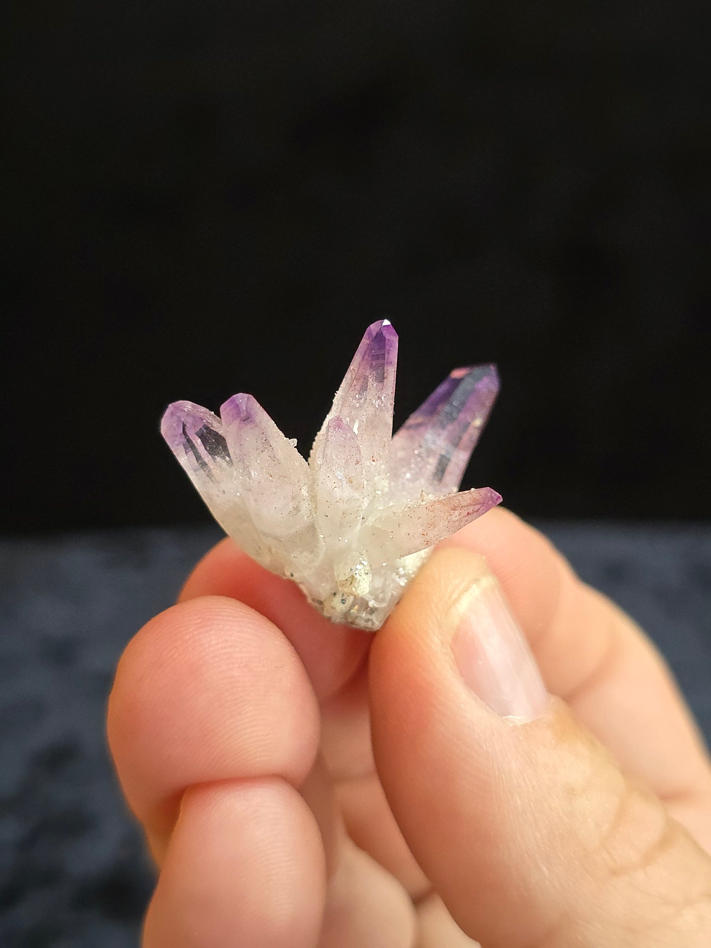 Veracruz Amethyst Mexico