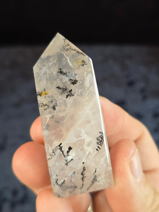 Dendritic Quartz Brazil
