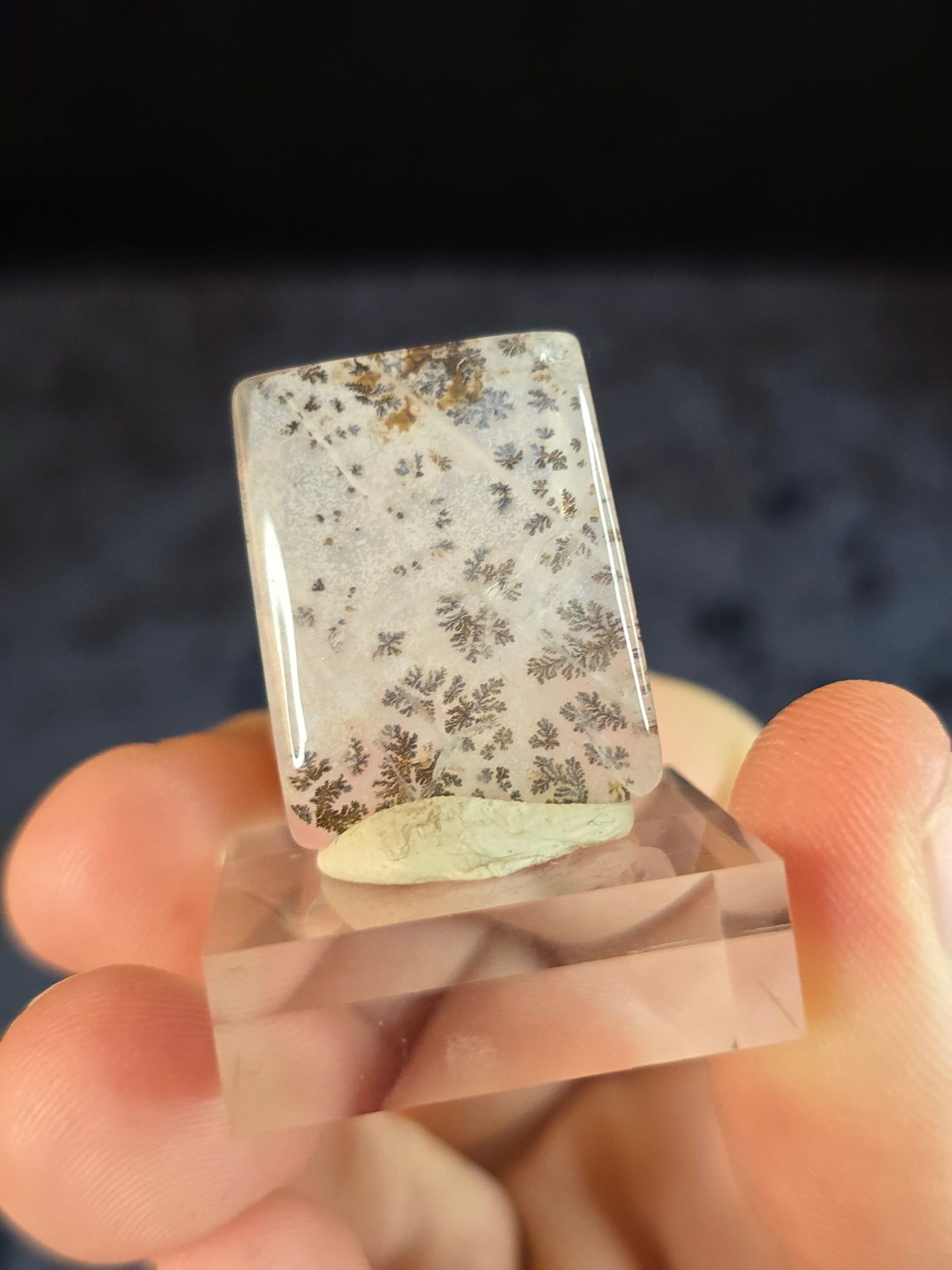 Dendritic Quartz Cabochon