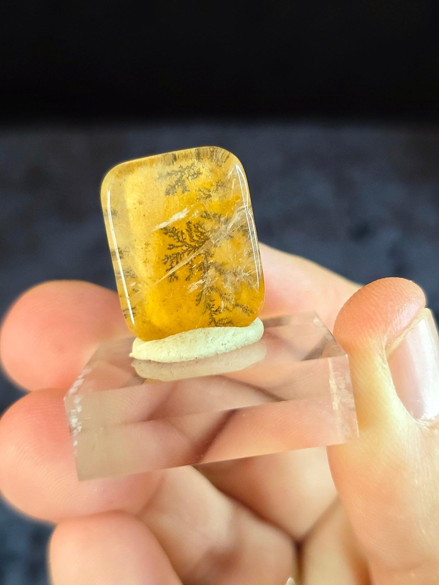 Dendritic Quartz Cabochon