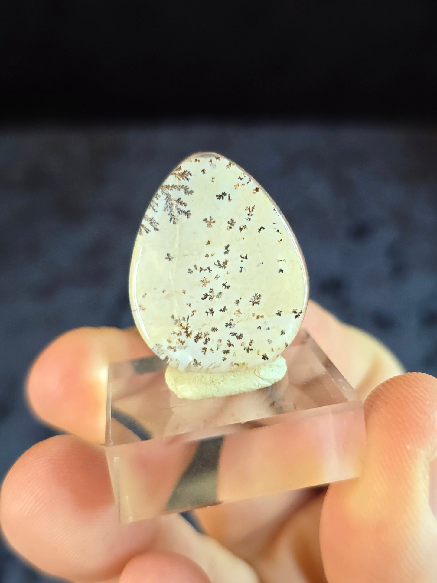 Dendritic Quartz Cabochon