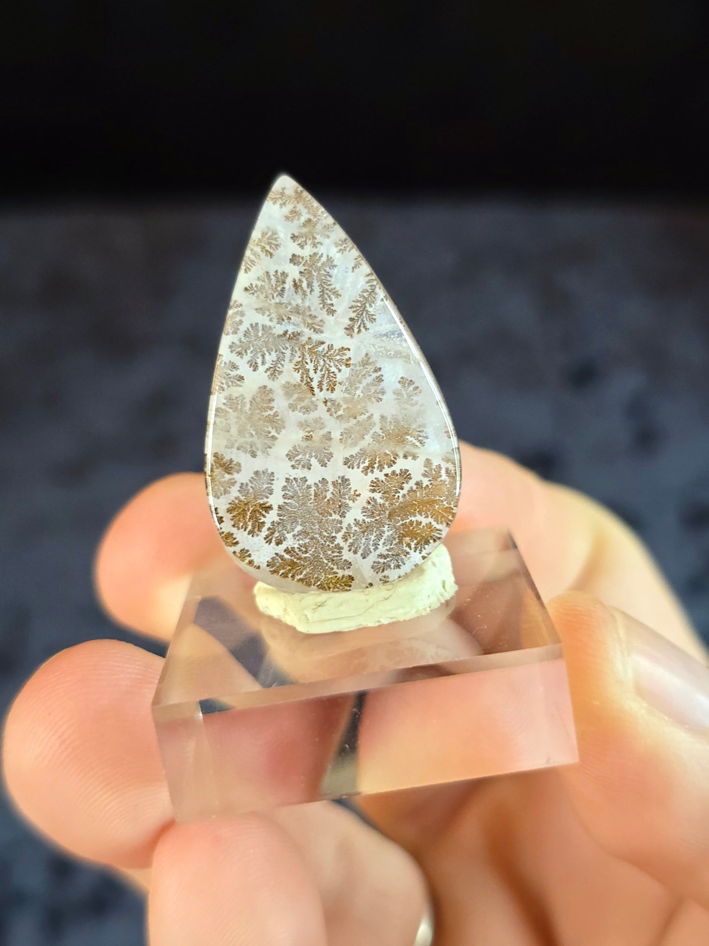 Dendritic Quartz Cabochon