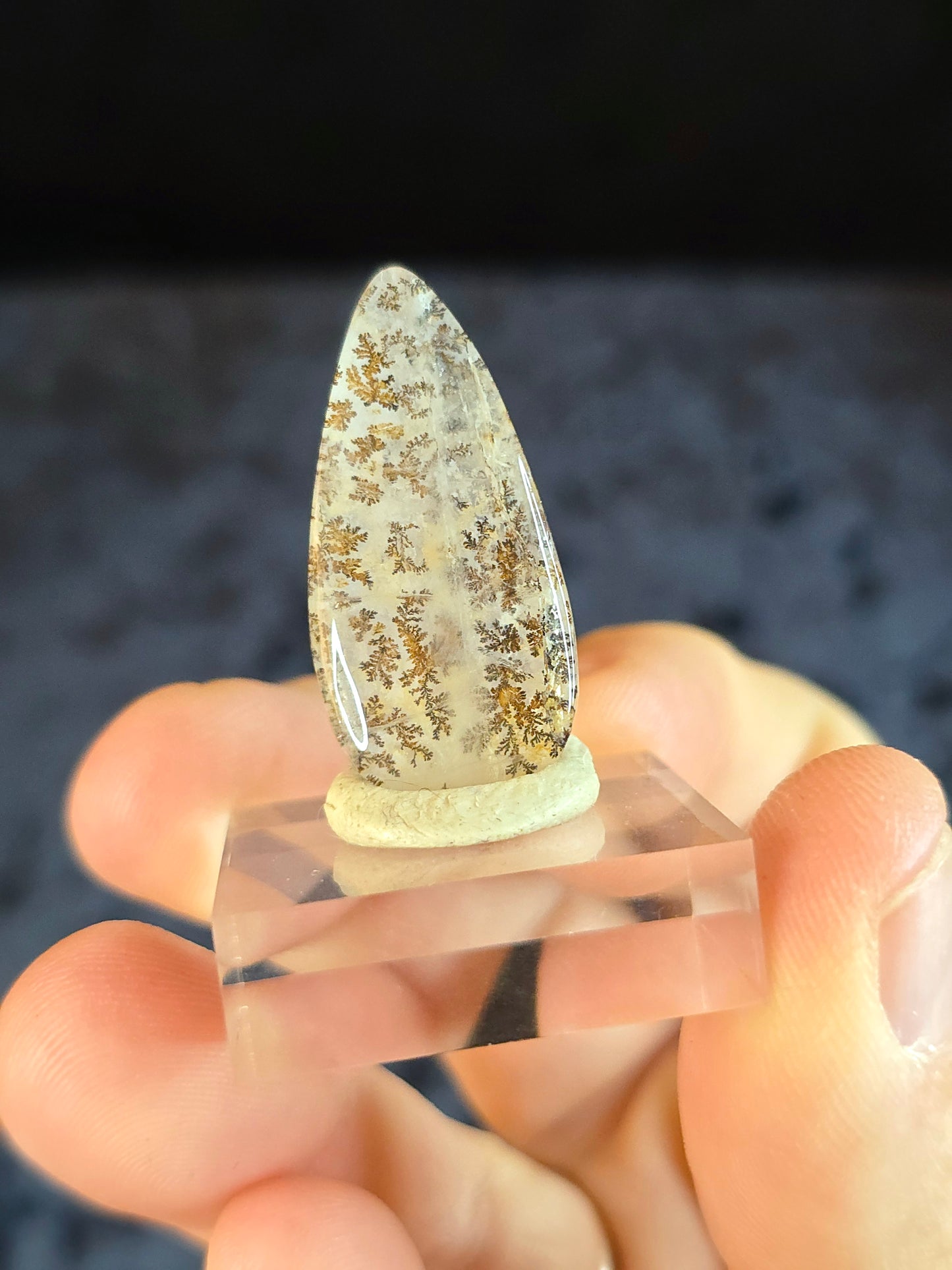 Dendritic Quartz Cabochon
