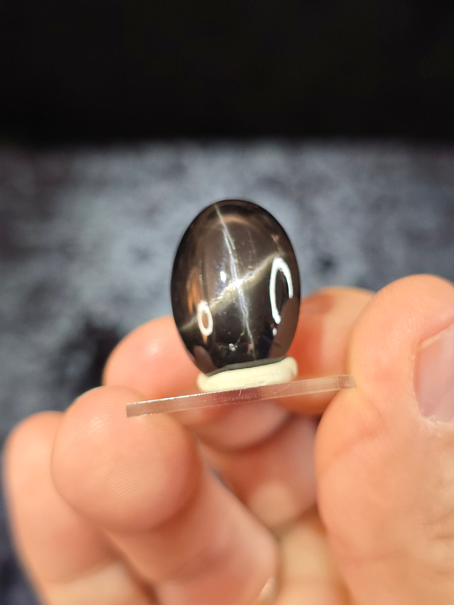 Black Star Diopside cabochon