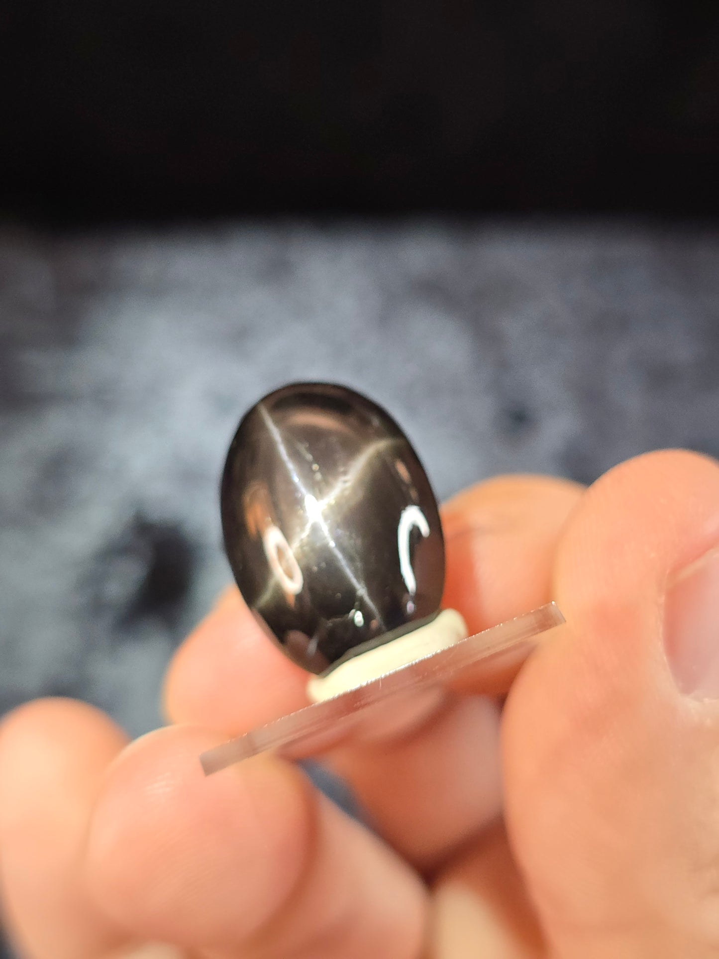 Black Star Diopside cabochon
