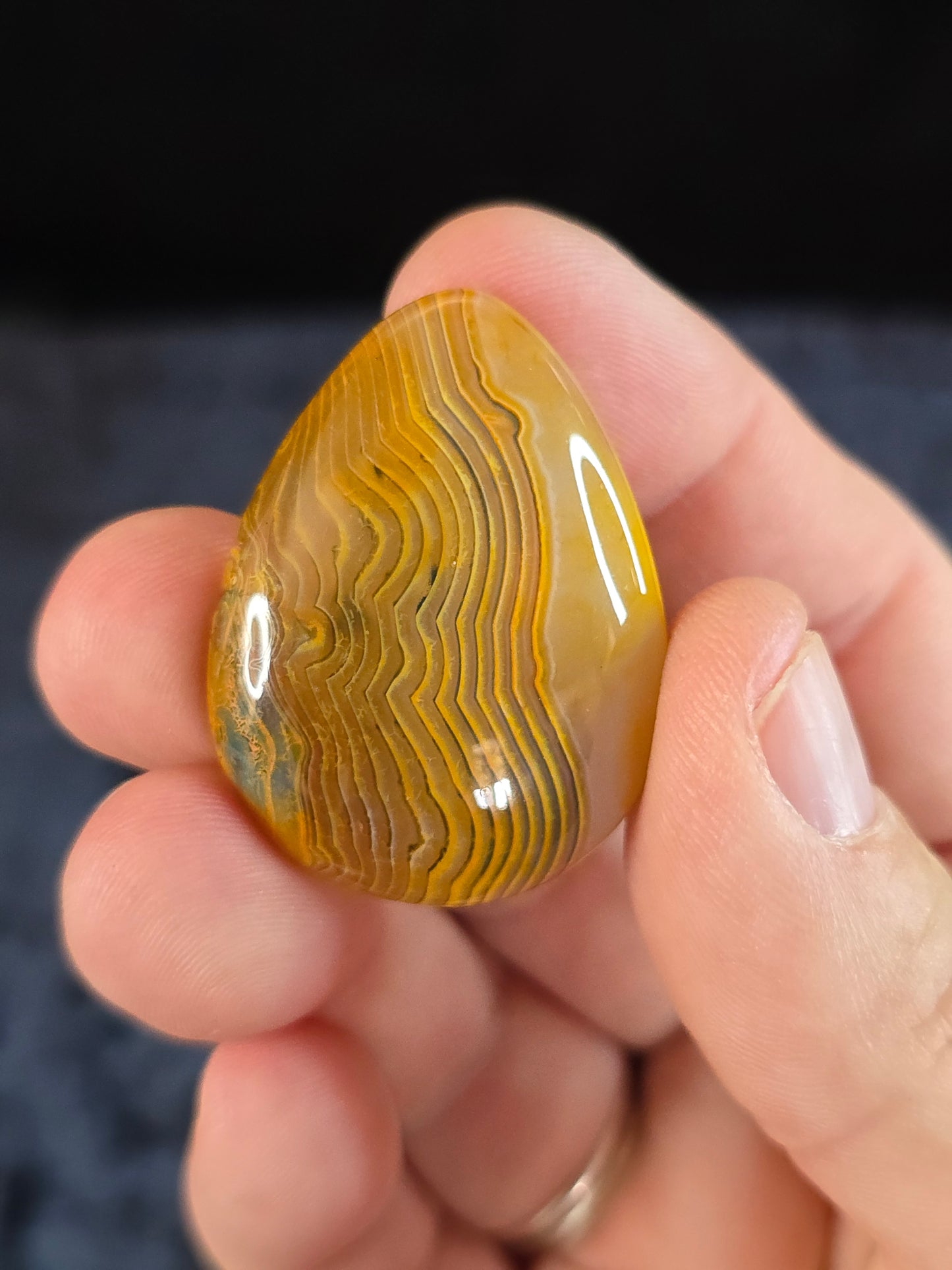 Bumblebee agate cabochon