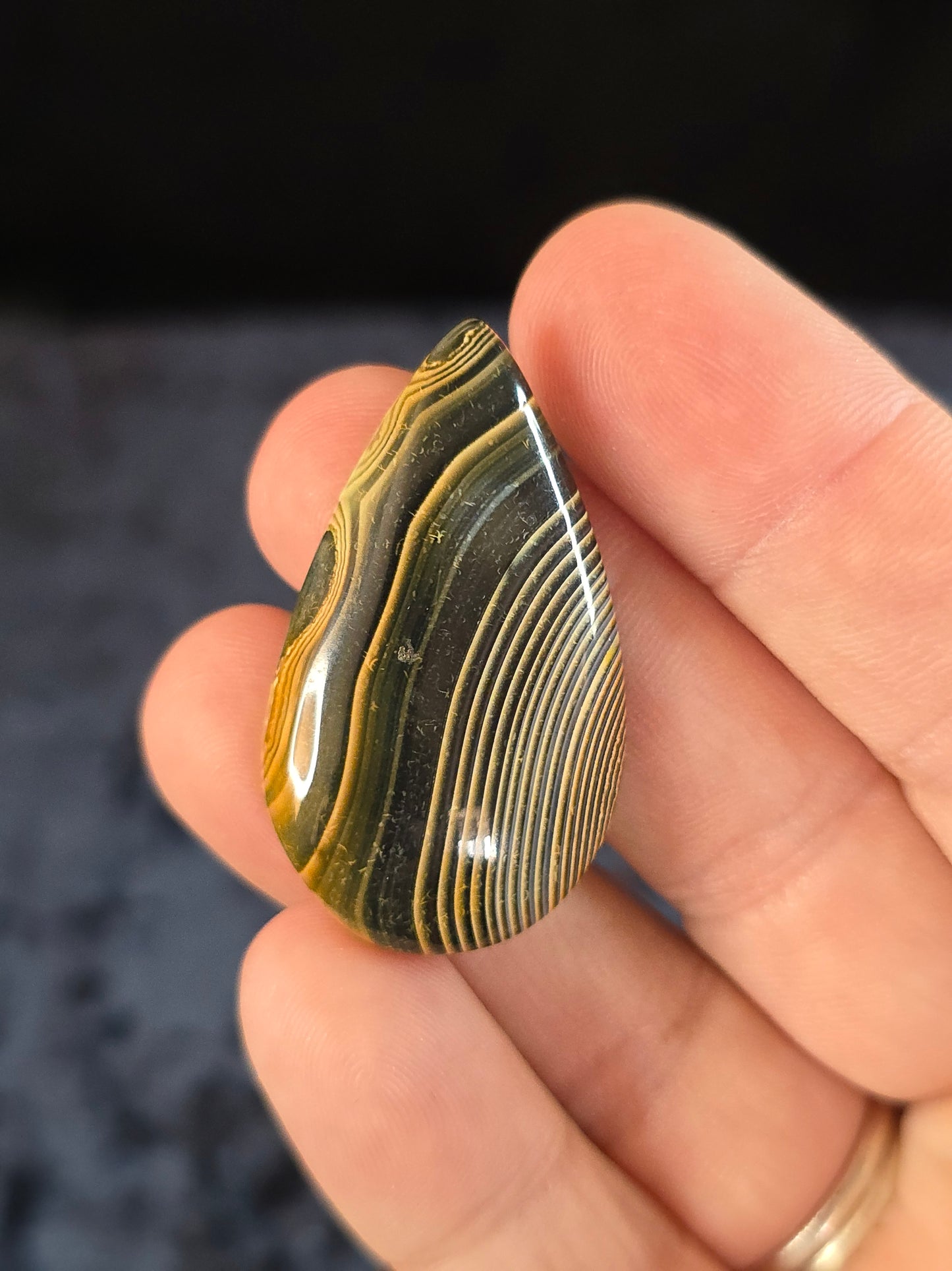 Bumblebee agate cabochon