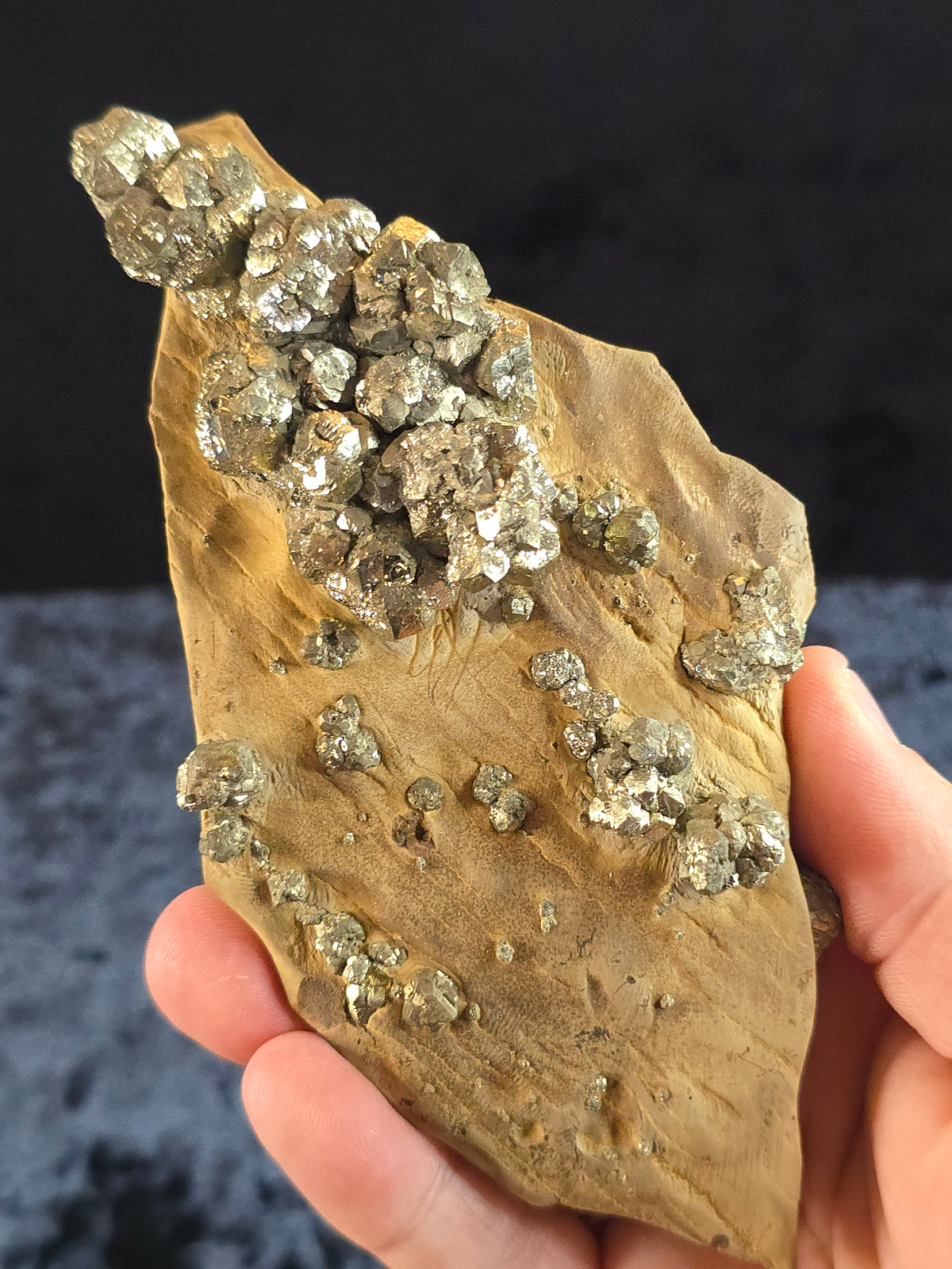 Pyrite on limestone from Pakistan