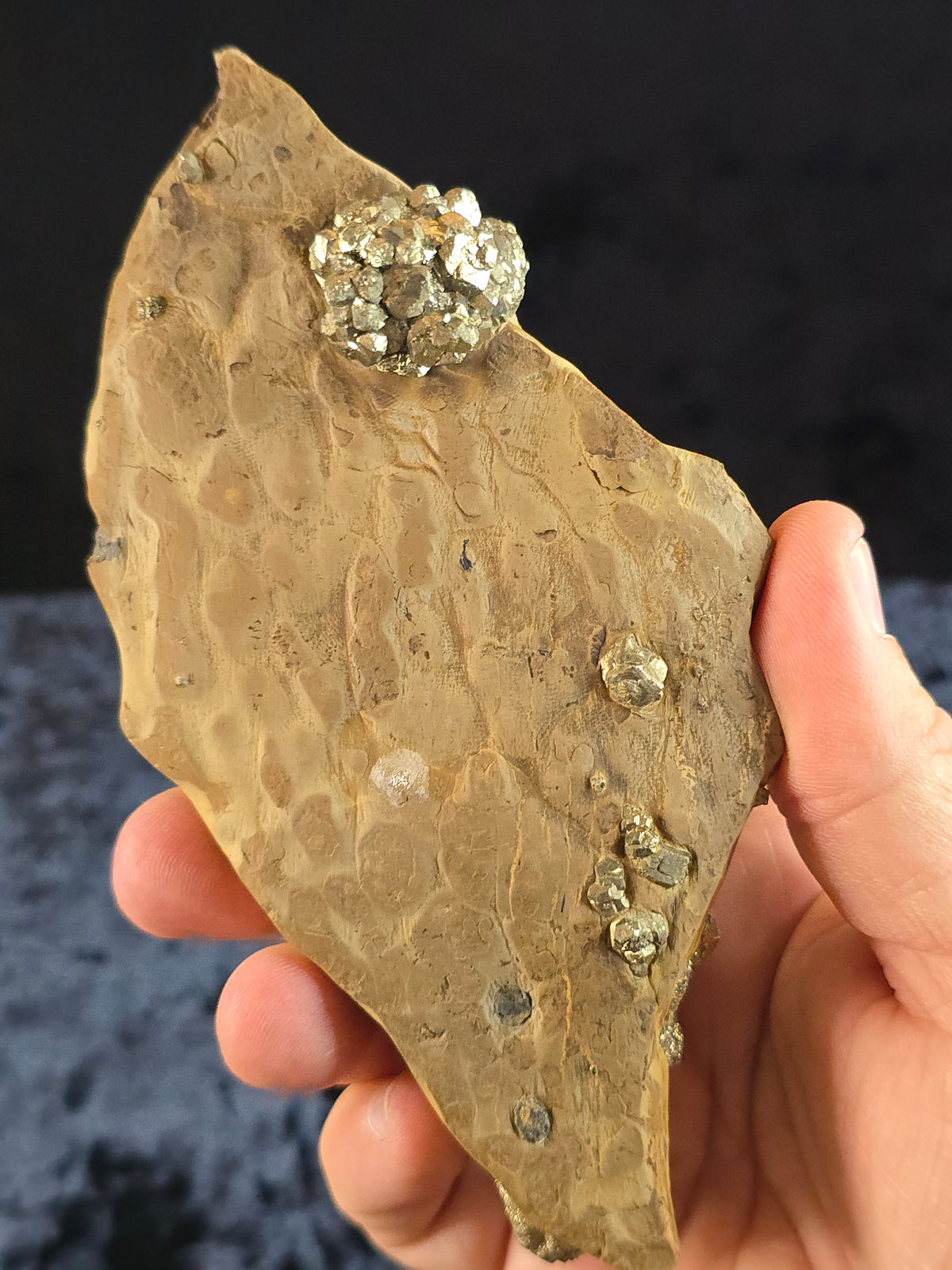 Pyrite on limestone from Pakistan