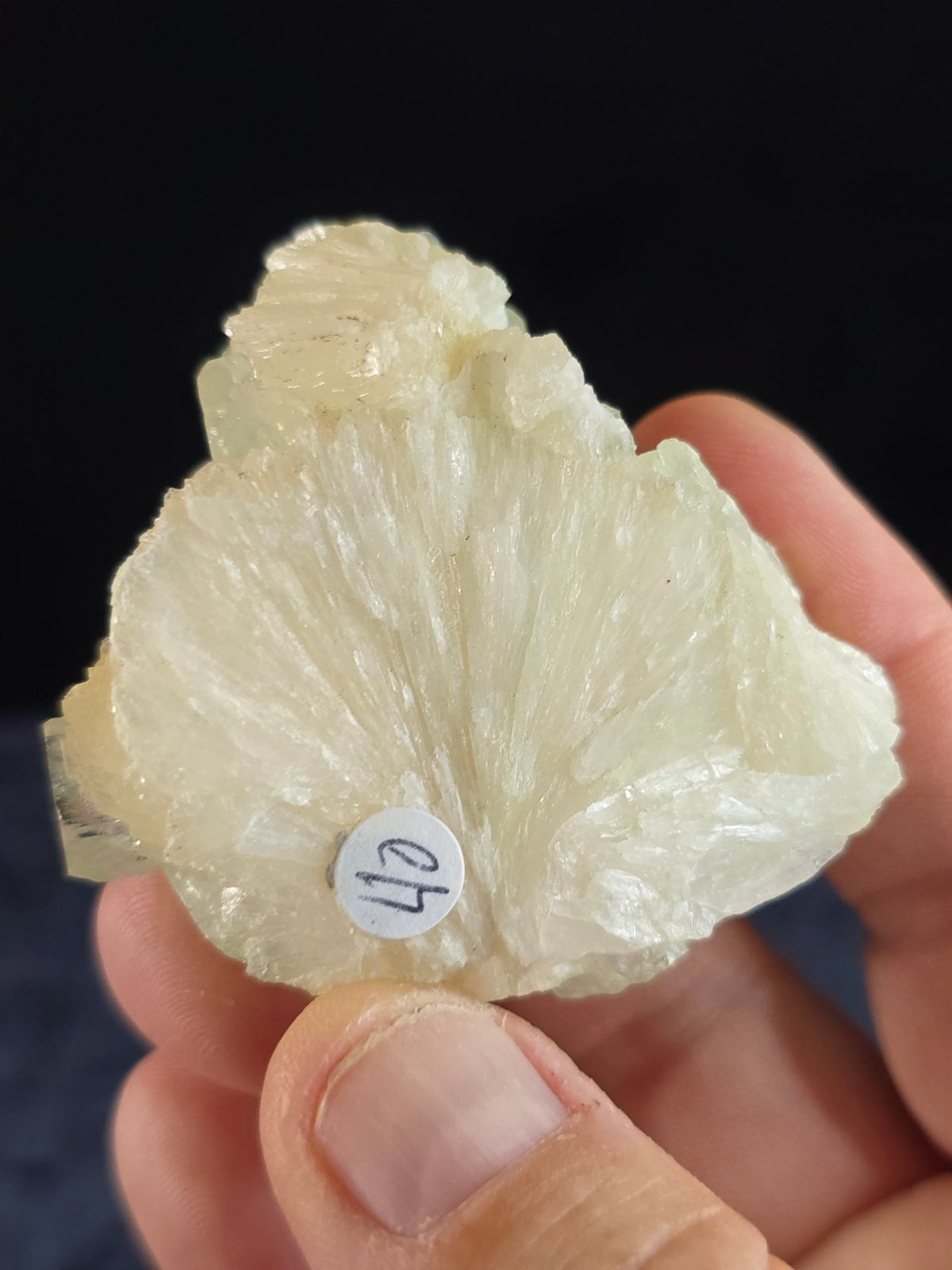 Green Apophyllite w Stilbite India