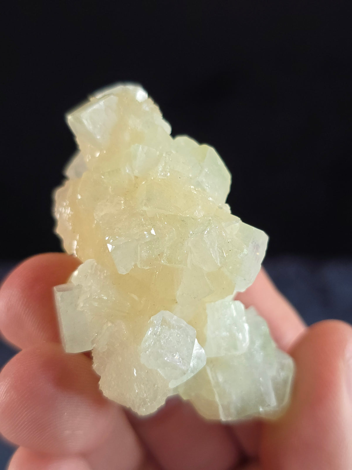 Green Apophyllite w Stilbite India