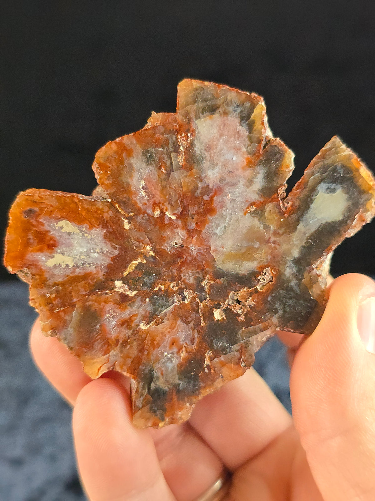 Quartz pseudomorph Aragonite from Argentina