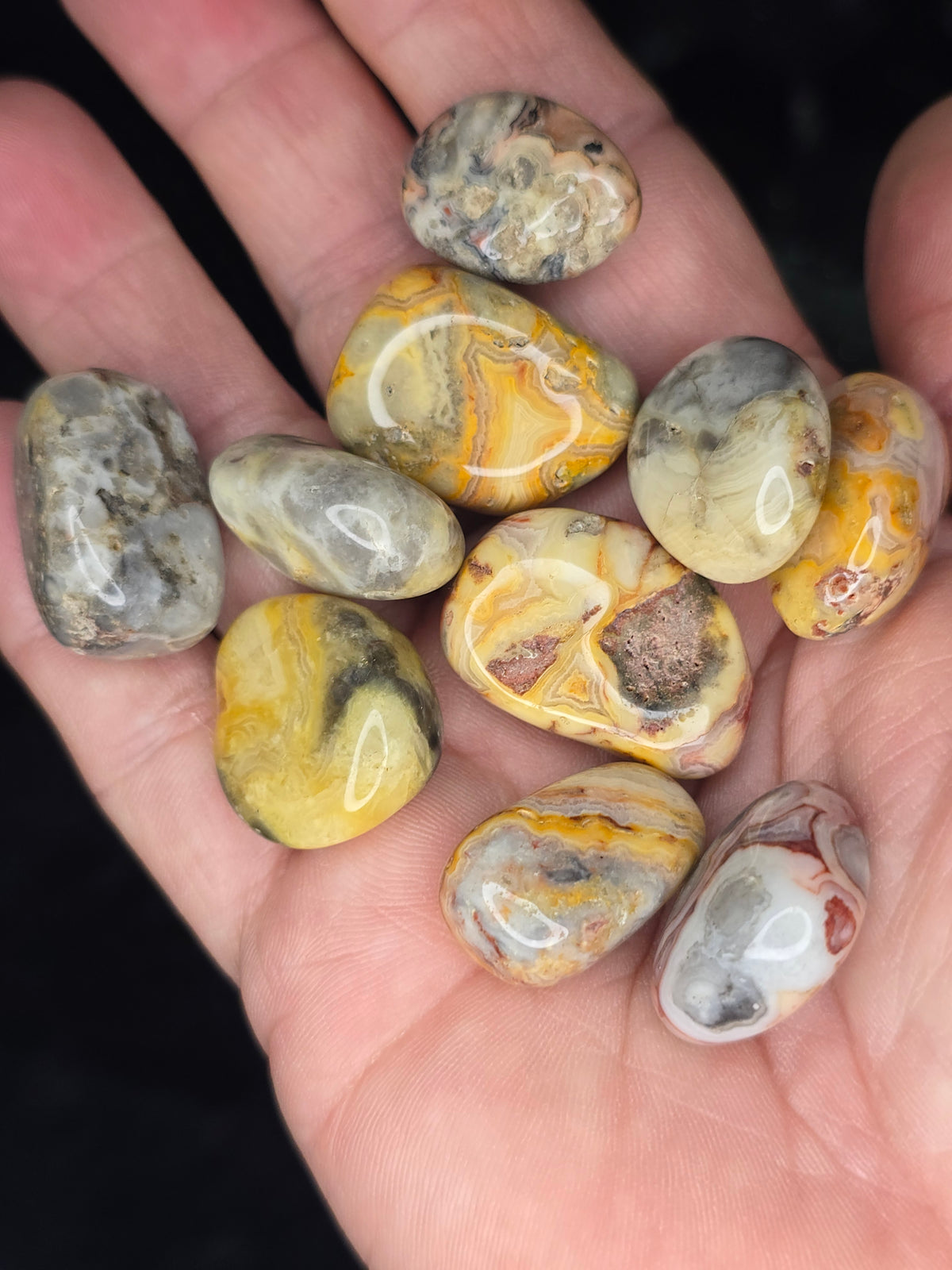 Crazy Lace Agate tumbles