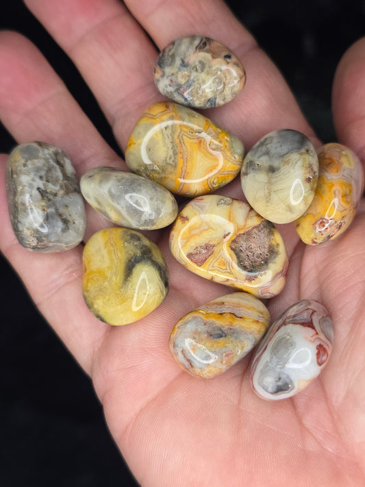 Crazy Lace Agate tumbles