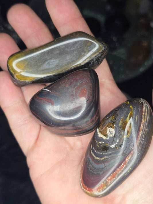 Tiger Iron tumble from Australia