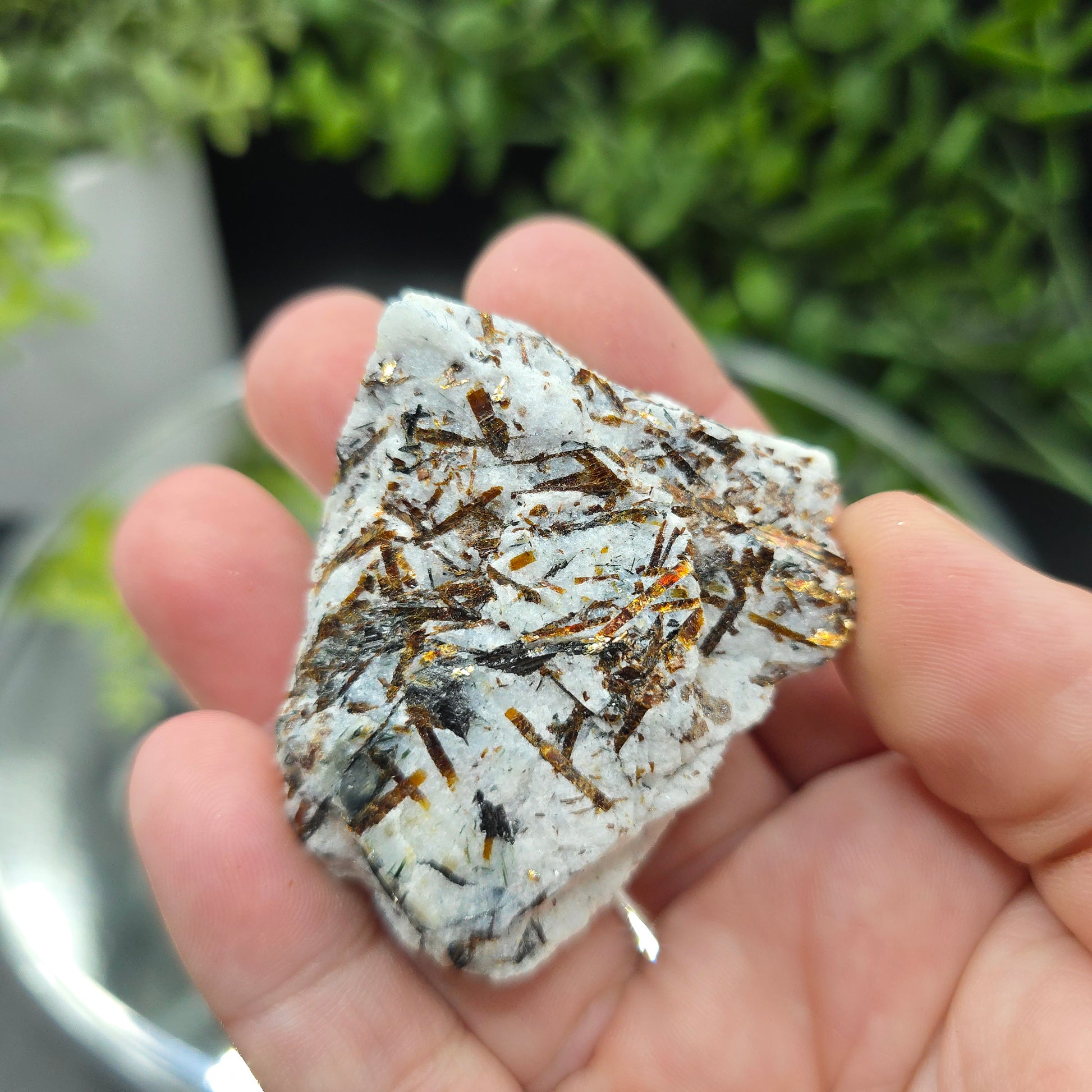 Astrophyllite