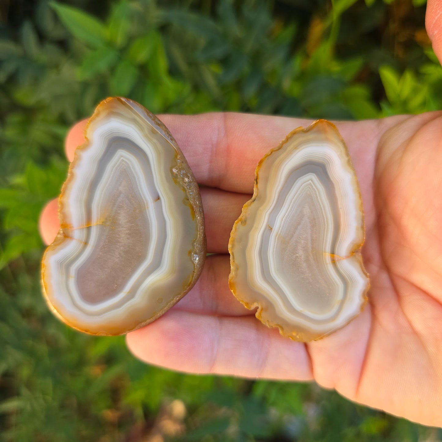 Black River Agate Argentina