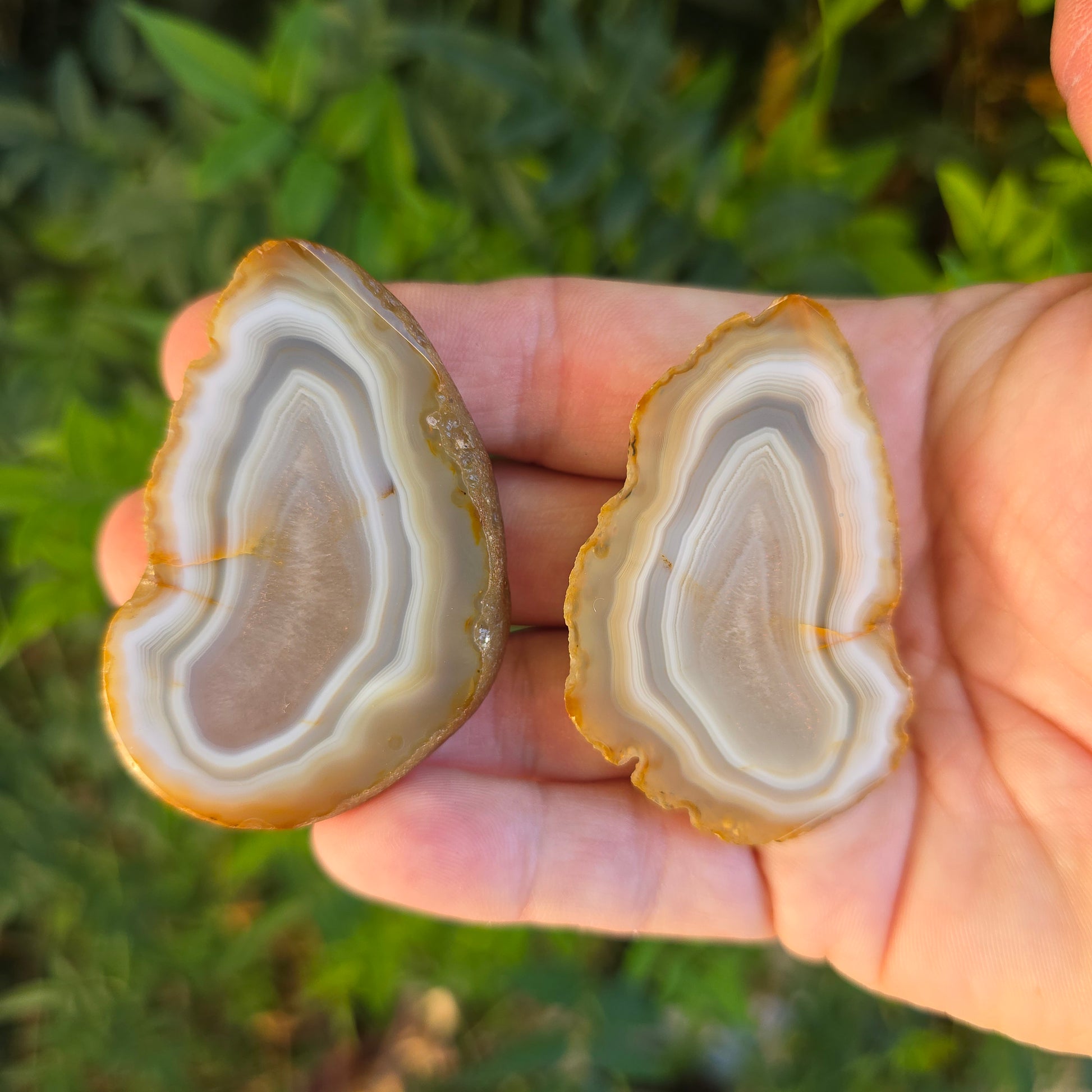 Black River Agate Argentina