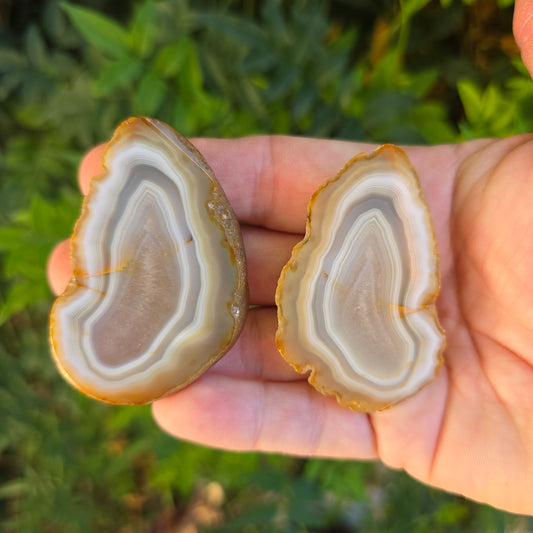 Black River Agate Argentina