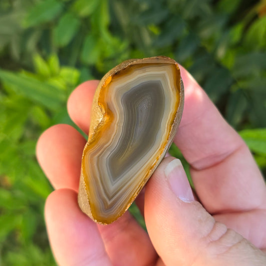 Black River Agate Argentina