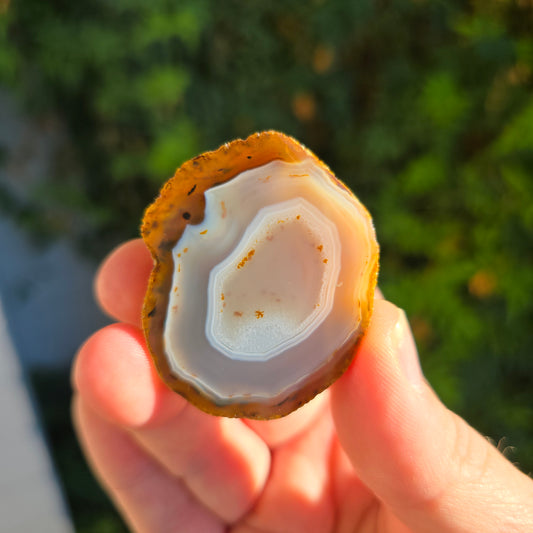 Black River Agate Argentina