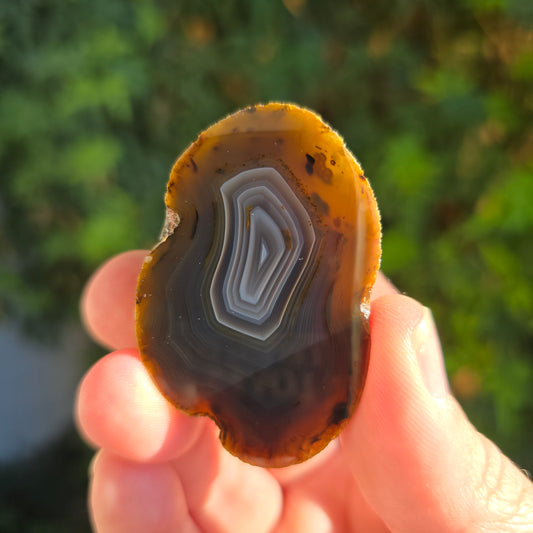 Black River Agate Argentina
