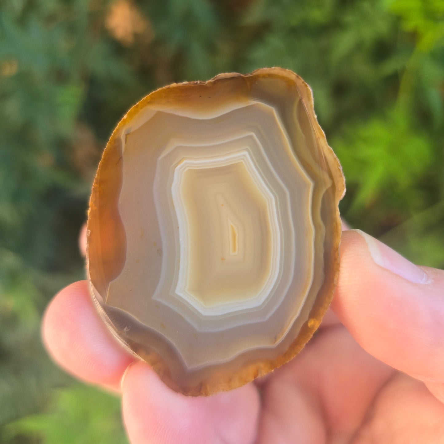 Black River Agate Argentina