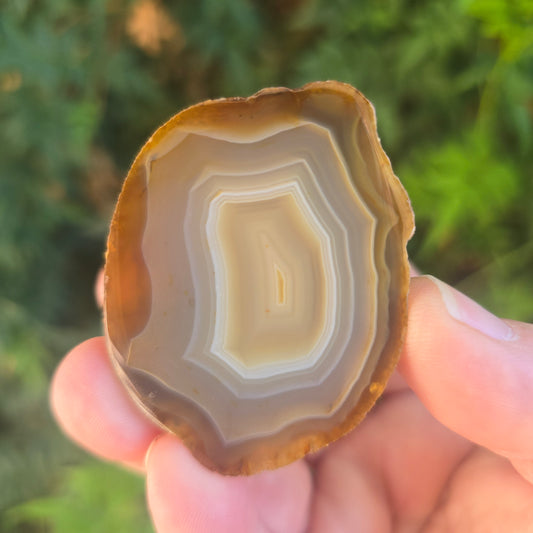 Black River Agate Argentina