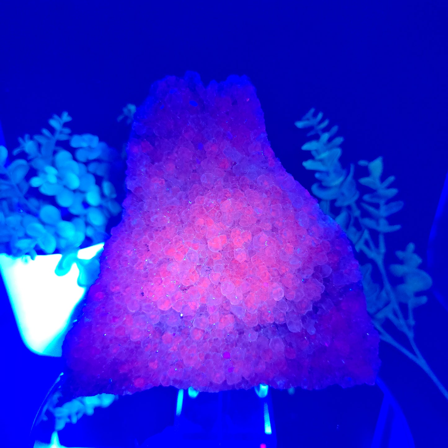 Calcite uv reactive Morocco