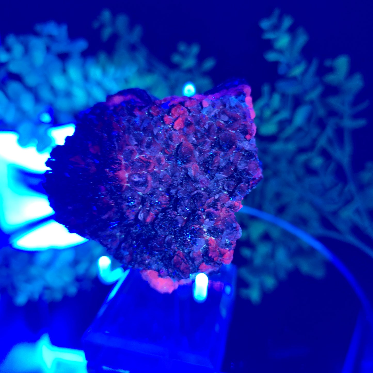 Calcite with hematite China