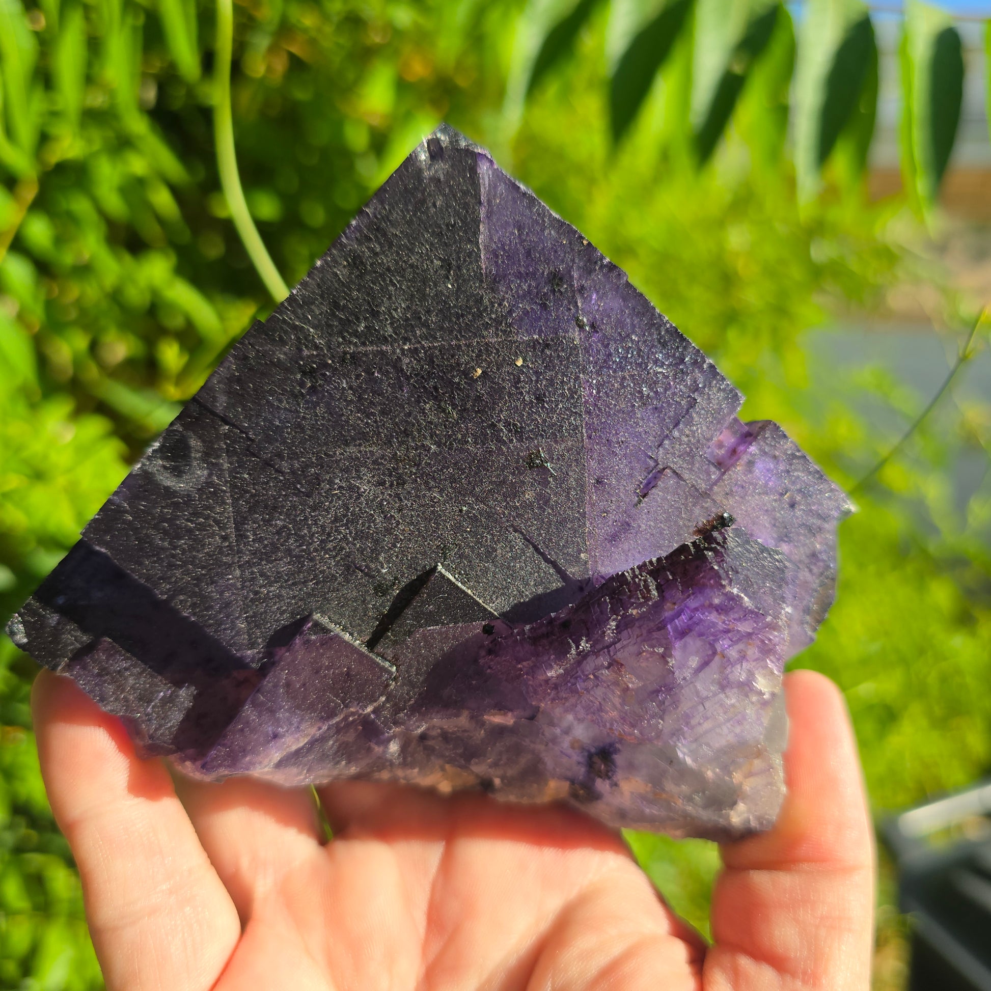 Fluorite Cave in Rock Illinois