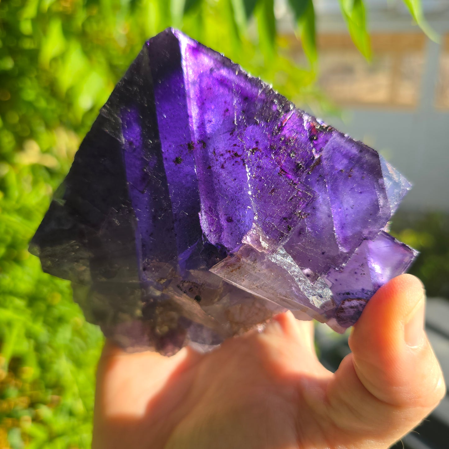 Fluorite Cave in Rock Illinois