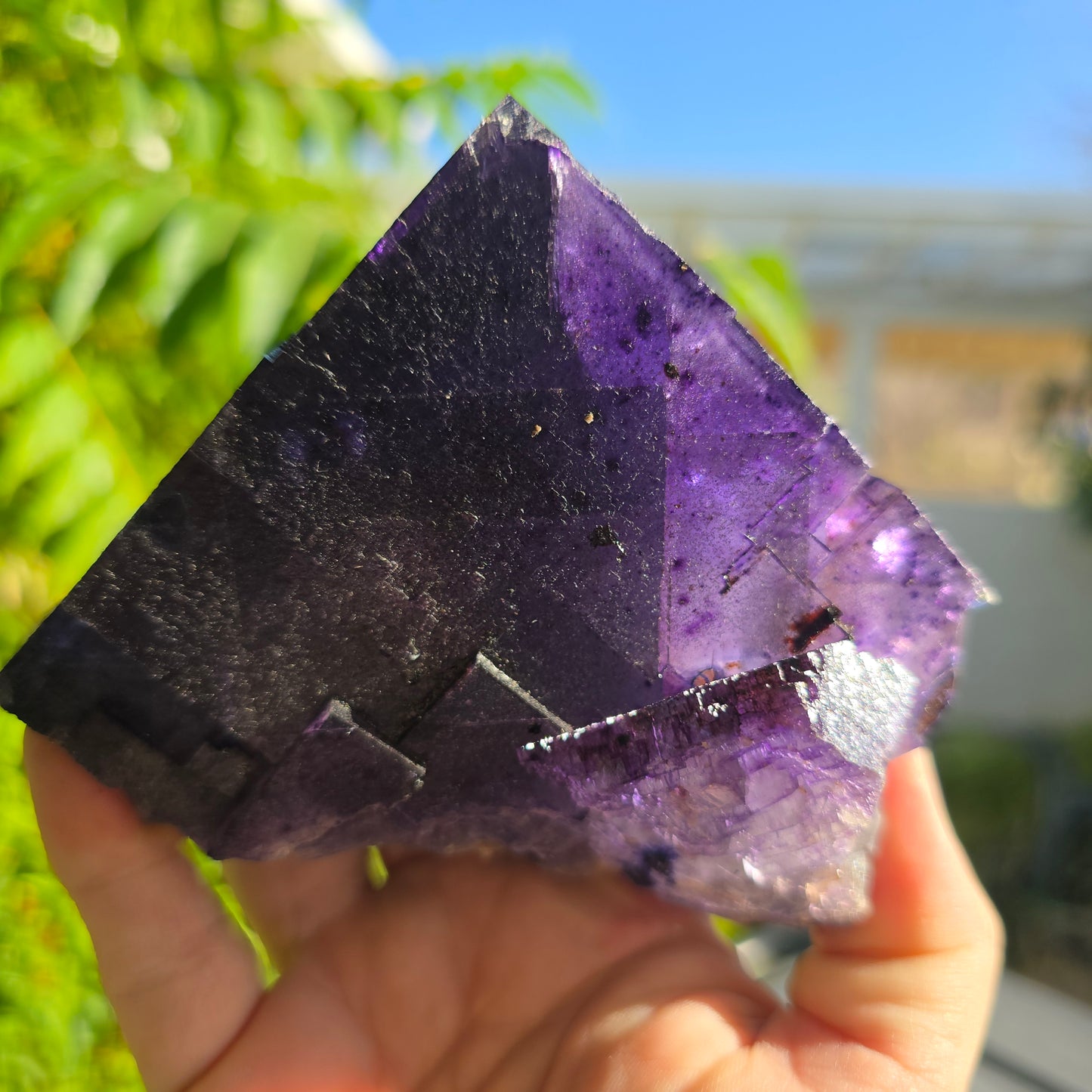 Fluorite Cave in Rock Illinois