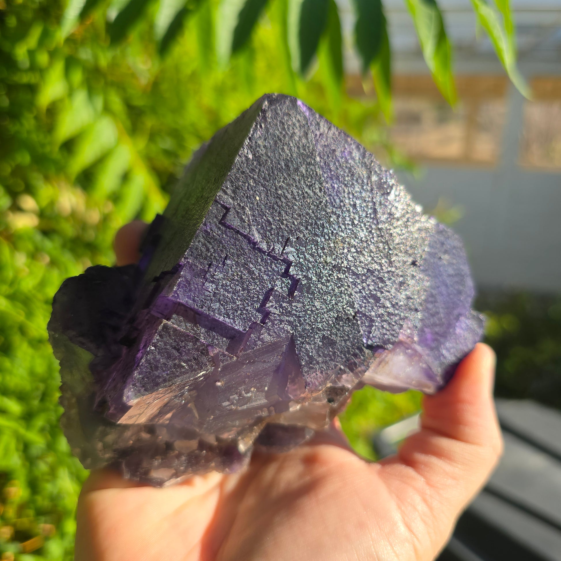 Fluorite Cave in Rock Illinois