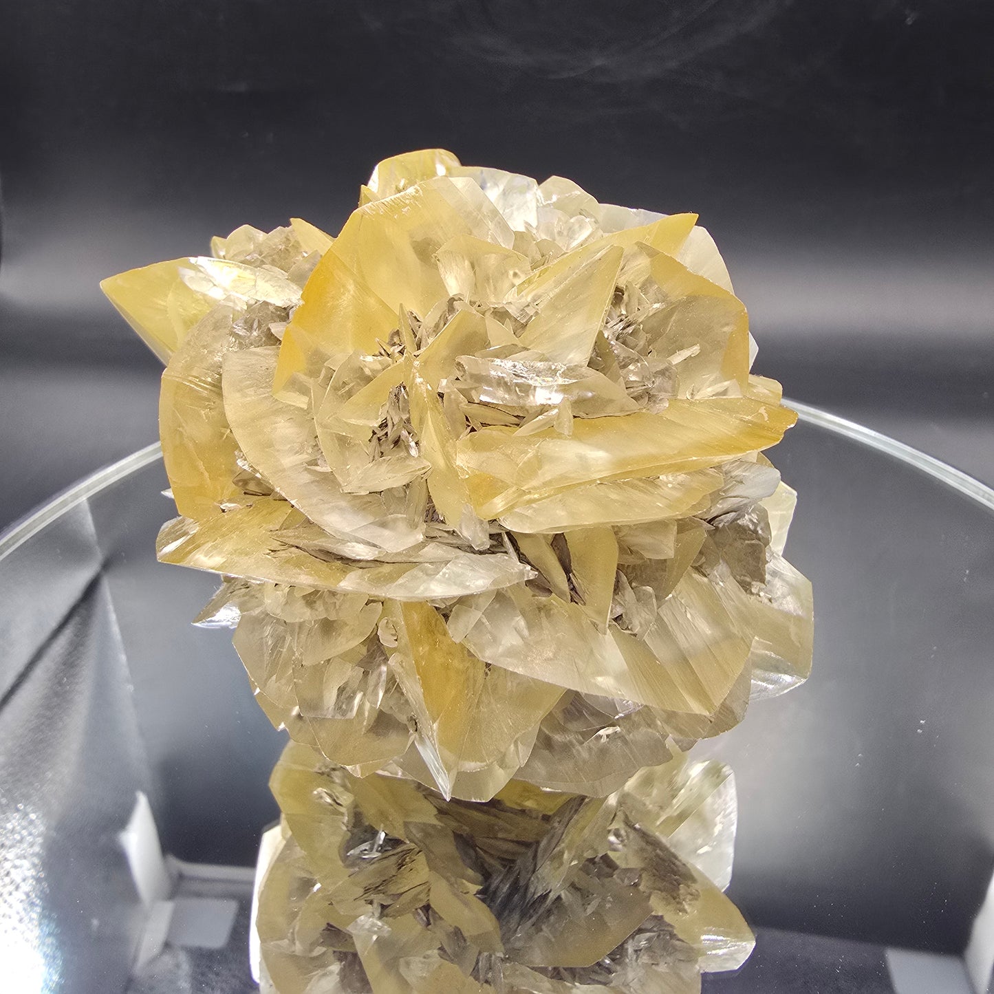 Selenite Red River Manitoba Canada 