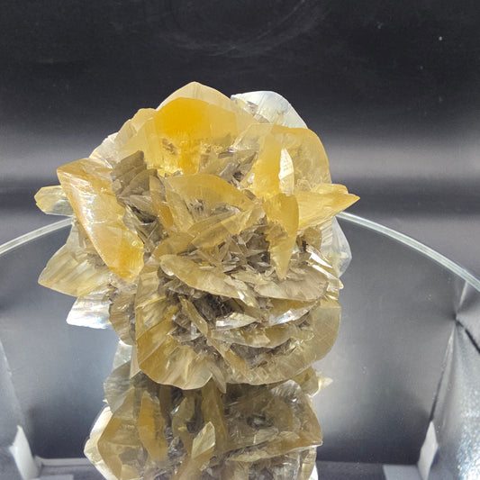 Selenite red river Manitoba