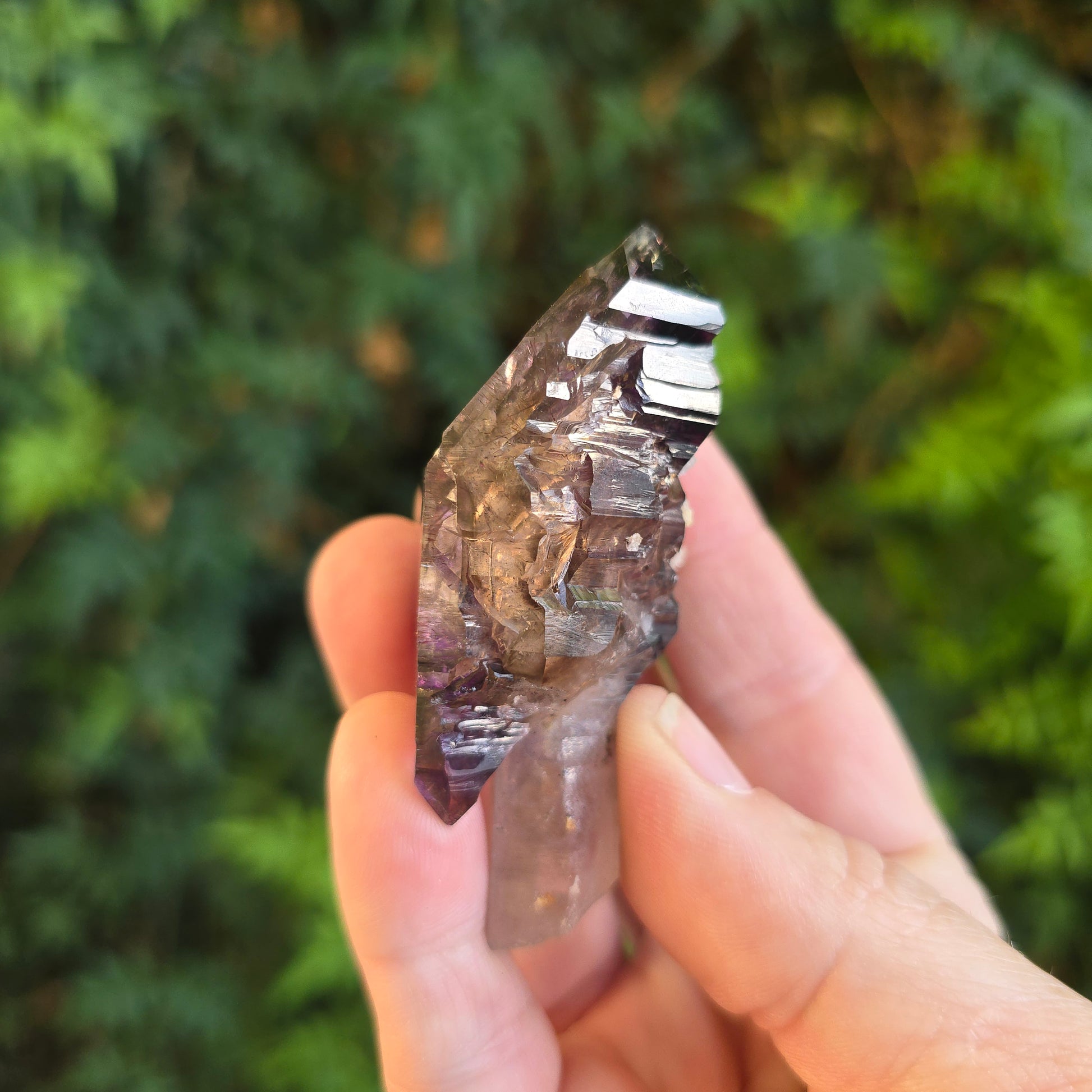 Shangaan Amethyst