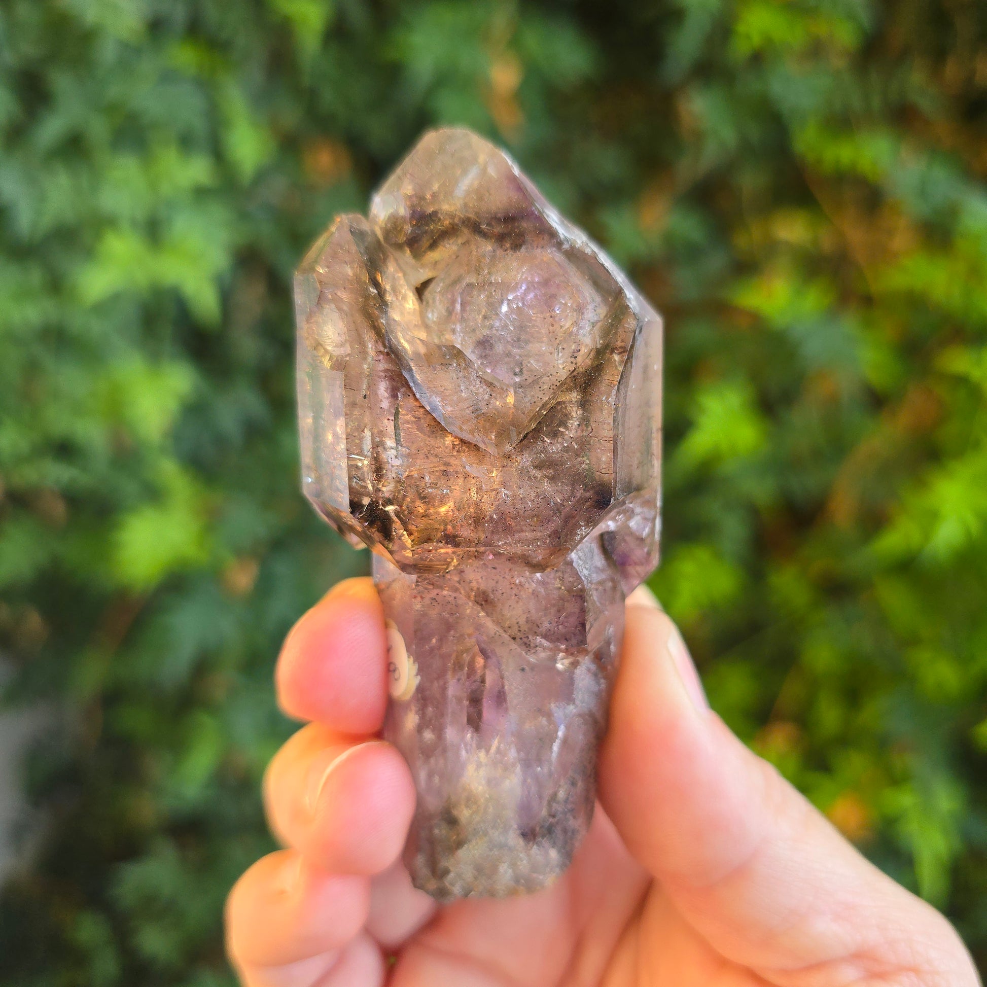 Shangaan Amethyst